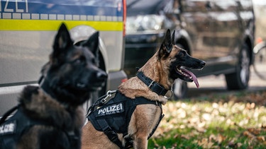 Hundestaffel
